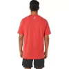 ASICS GESTREIFTES KURZARM-T-SHIRT ASICS GESTREIFTES KURZARM-T-SHIRT
