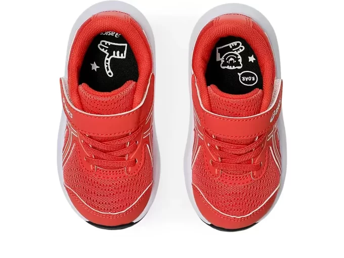 CONTEND 9 KLEINKINDGRÖSSE CONTEND 9 KLEINKINDGRÖSSE