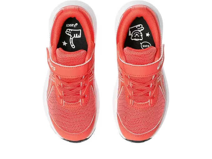 CONTEND 9 VORSCHULE CONTEND 9 VORSCHULE