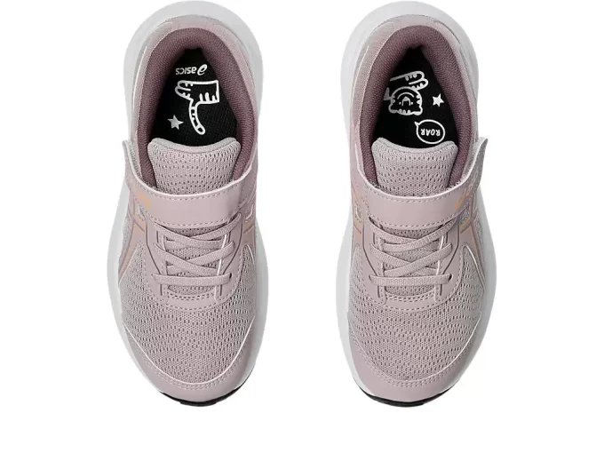 CONTEND 9 VORSCHULE CONTEND 9 VORSCHULE