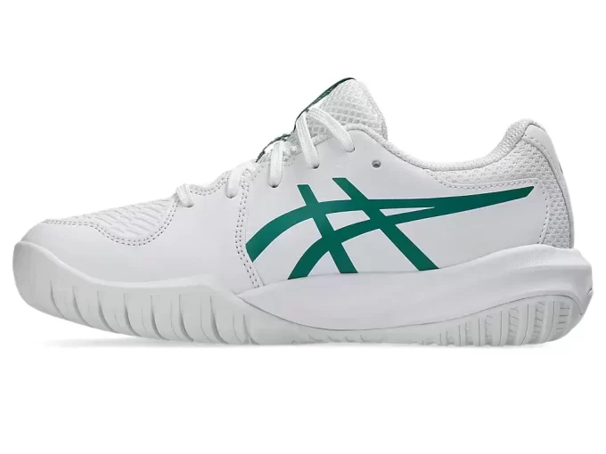 GEL-RESOLUTION X GRADE SCHOOL GEL-RESOLUTION X GRADE SCHOOL