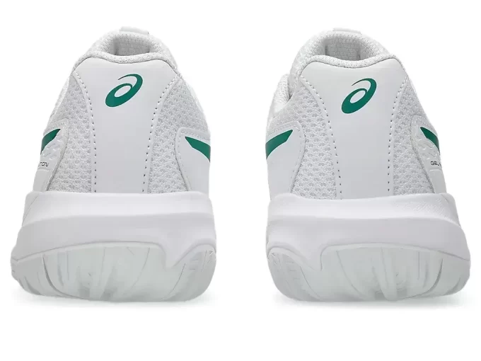 GEL-RESOLUTION X GRADE SCHOOL GEL-RESOLUTION X GRADE SCHOOL