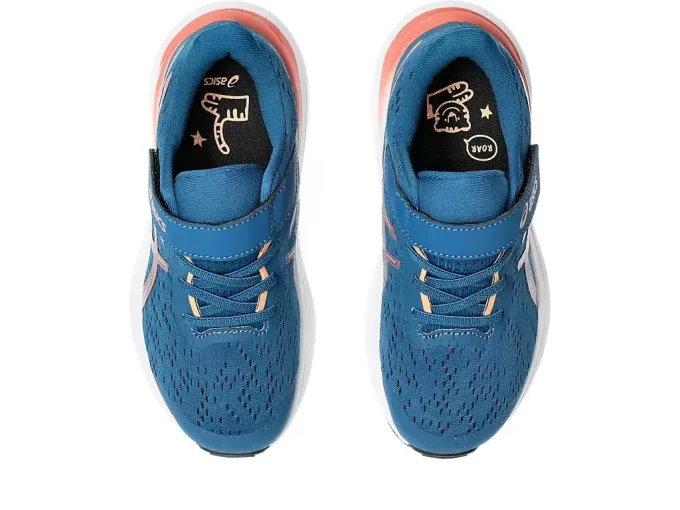 GT-1000 13 VORSCHULE GT-1000 13 VORSCHULE