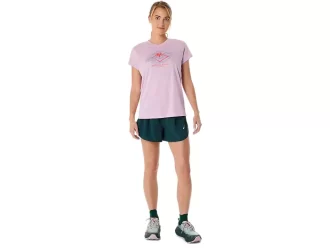 KURZARM-OBERTEIL MIT FUJITRAIL-LOGO