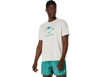 KURZARM-OBERTEIL MIT FUJITRAIL-LOGO