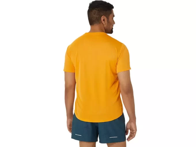 KURZARM-OBERTEIL MIT FUJITRAIL-LOGO KURZARM-OBERTEIL MIT FUJITRAIL-LOGO