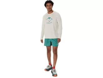 LANGARM-OBERTEIL MIT FUJITRAIL-LOGO LANGARM-OBERTEIL MIT FUJITRAIL-LOGO