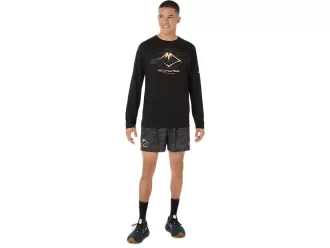 LANGARM-OBERTEIL MIT FUJITRAIL-LOGO LANGARM-OBERTEIL MIT FUJITRAIL-LOGO