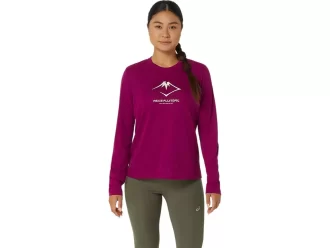 LANGARM-OBERTEIL MIT FUJITRAIL-LOGO