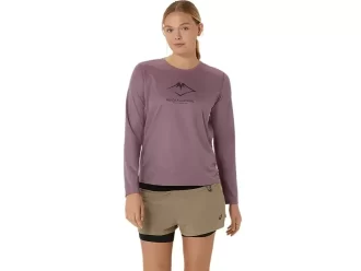 LANGARM-OBERTEIL MIT FUJITRAIL-LOGO