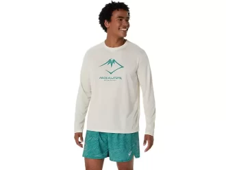 LANGARM-OBERTEIL MIT FUJITRAIL-LOGO LANGARM-OBERTEIL MIT FUJITRAIL-LOGO