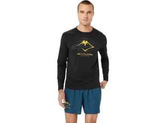 LANGARM-OBERTEIL MIT FUJITRAIL-LOGO LANGARM-OBERTEIL MIT FUJITRAIL-LOGO