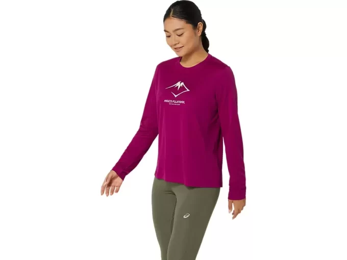 LANGARM-OBERTEIL MIT FUJITRAIL-LOGO LANGARM-OBERTEIL MIT FUJITRAIL-LOGO