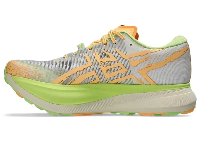 METAFUJI-PFAD METAFUJI-PFAD