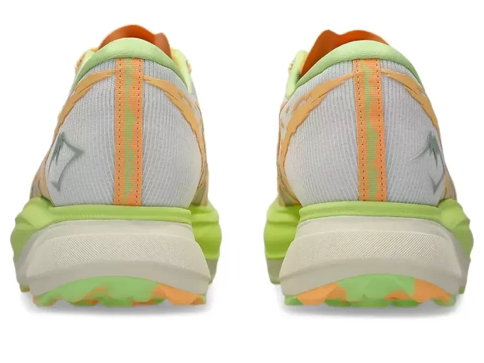 METAFUJI-PFAD METAFUJI-PFAD