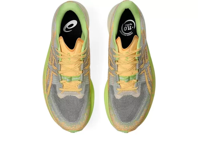 METAFUJI-PFAD METAFUJI-PFAD