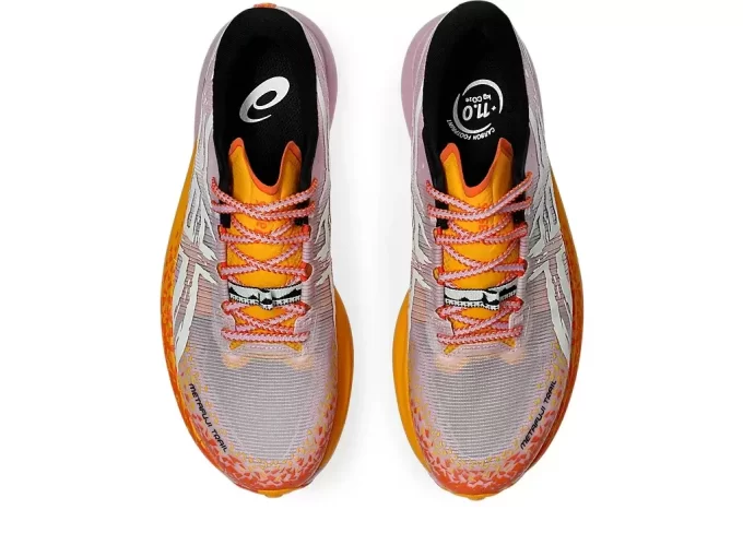 METAFUJI-PFAD METAFUJI-PFAD