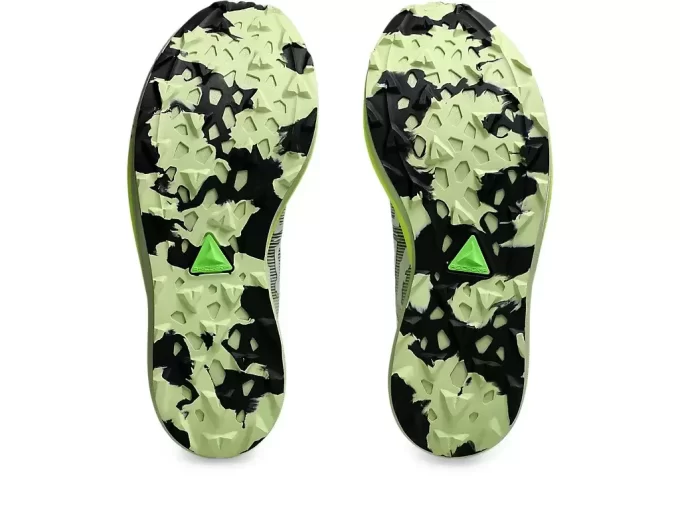 METAFUJI-PFAD METAFUJI-PFAD