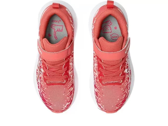 PRE NOOSA TRI 16 VORSCHULE PRE NOOSA TRI 16 VORSCHULE